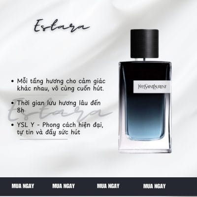 yves saint laurent y